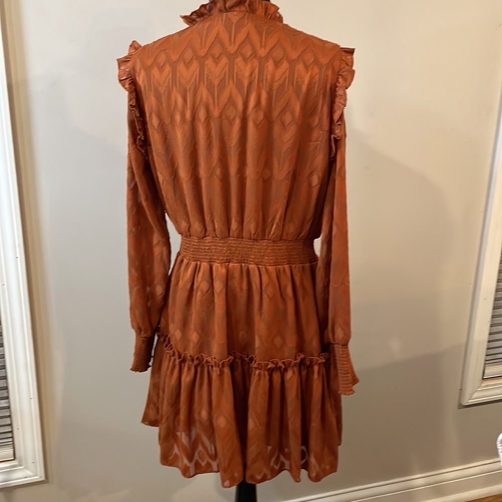 Vintage Style Ruffled Mini Dress - Picture 8 of 13
